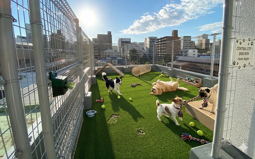 ドックラン付の賃貸マンション