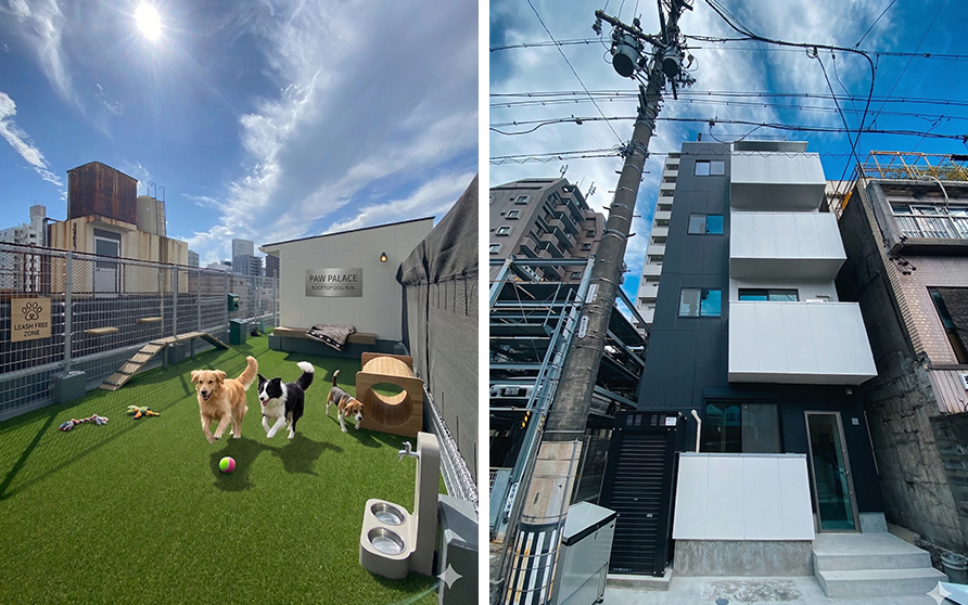 ドックラン付の賃貸マンション